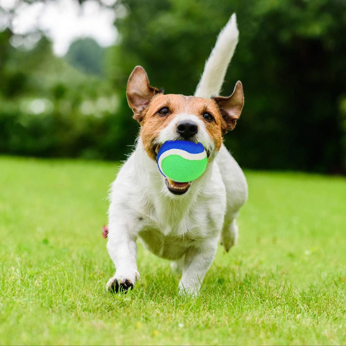 Upgraded Toss and Catch Ball Game Set, Kids Toy Stocking Stuffers for Boys Girls Ages 3-12, Includes 2 Paddles 2 Sticky Balls, Water-Resistant Indoor Outdoor Toy for Beach Pool Yard